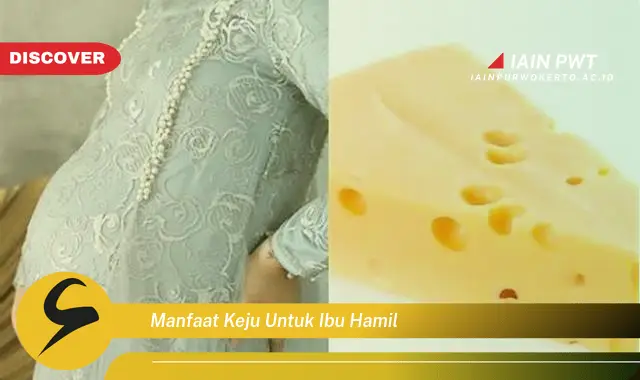 Temukan 7 Manfaat Keju untuk Ibu Hamil