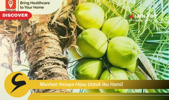 Ketahui 7 Manfaat Kelapa Hijau untuk Ibu Hamil