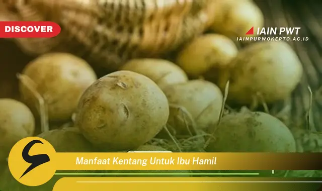 Temukan 5 Manfaat Kentang untuk Ibu Hamil