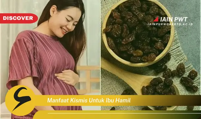 Ketahui 5 Manfaat Kismis untuk Ibu Hamil