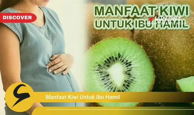 Ketahui 5 Manfaat Kiwi: Buah Ajaib untuk Ibu Hamil