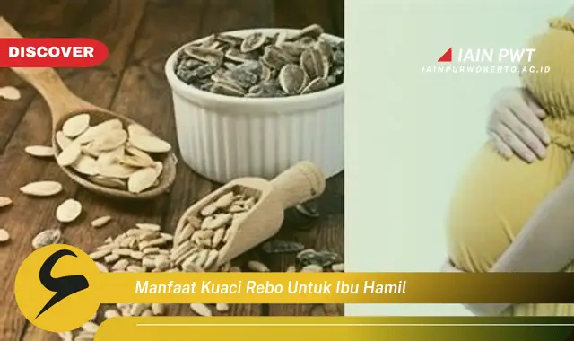 manfaat kuaci rebo untuk ibu hamil