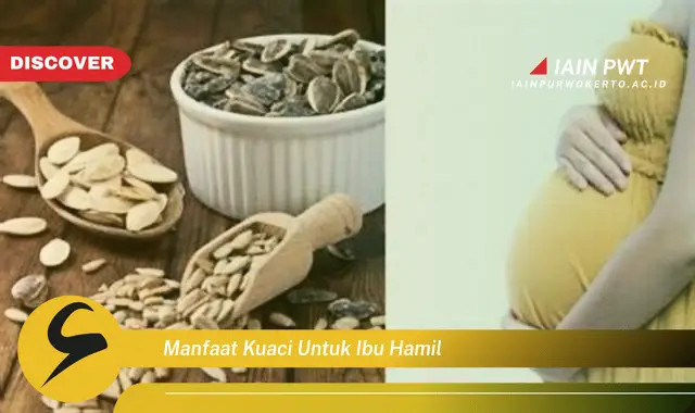 Temukan 5 Manfaat Kuaci bagi Ibu Hamil