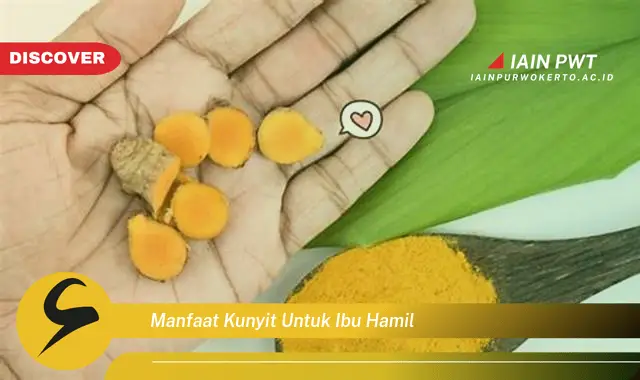 Ketahui 7 Manfaat Kunyit untuk Kehamilan Sehat