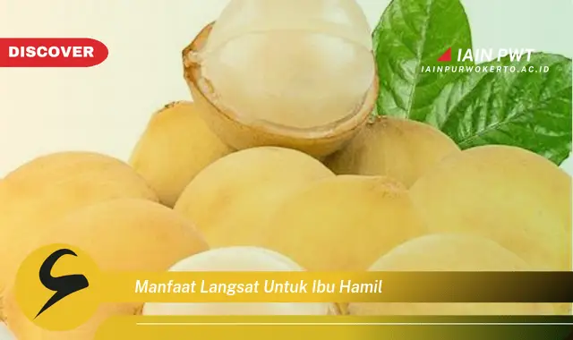 Ketahui 5 Manfaat Langsat untuk Kehamilan Sehat