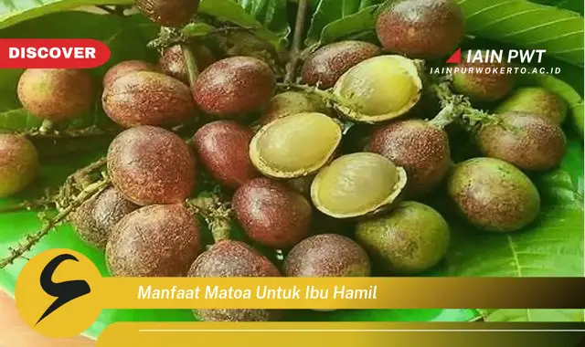 Ketahui 5 Manfaat Matoa untuk Kehamilan Anda