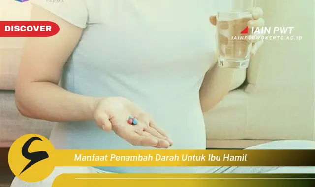 Ketahui 7 Manfaat Penambah Darah Bagi Ibu Hamil