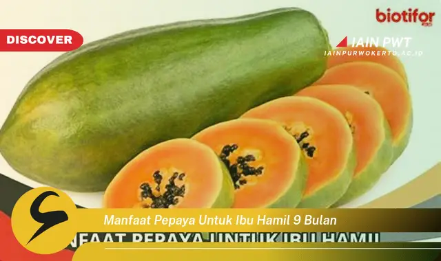 manfaat pepaya untuk ibu hamil 9 bulan