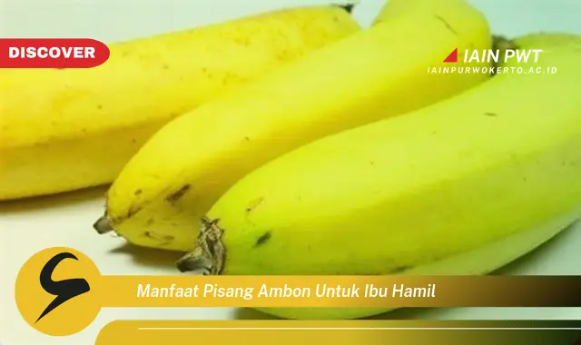 manfaat pisang ambon untuk ibu hamil