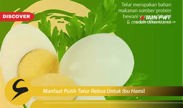 Ketahui 5 Manfaat Putih Telur Rebus bagi Ibu Hamil