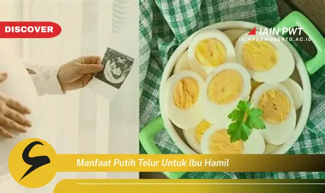 Ketahui 5 Manfaat Ajaib Putih Telur untuk Ibu Hamil