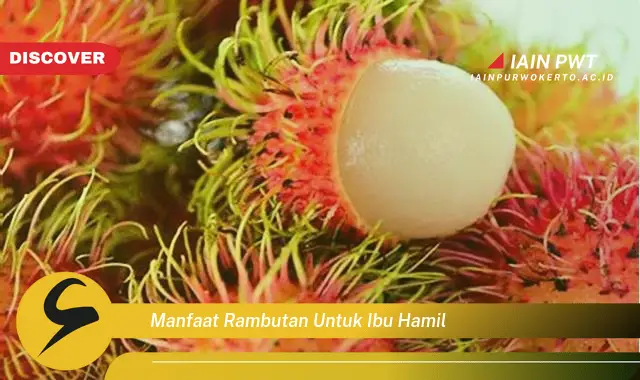 Ketahui 5 Manfaat Rambutan Bagi Ibu Hamil