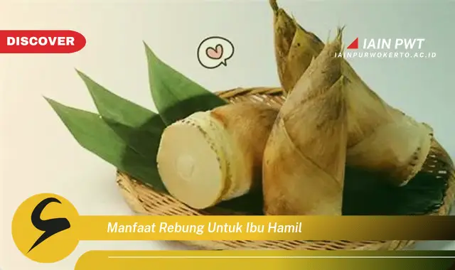 Ketahui 5 Manfaat Rebung untuk Kehamilan yang Sehat