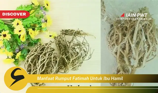 Ketahui 7 Manfaat Rumput Fatimah untuk Kehamilan Sehat