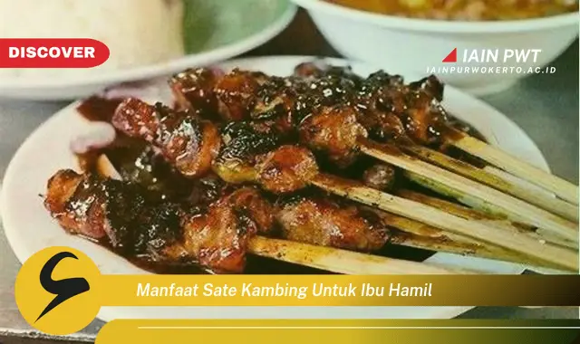 Ketahui 5 Manfaat Sate Kambing bagi Ibu Hamil