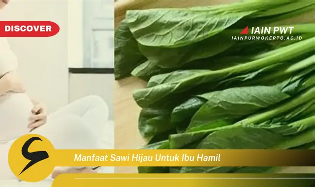 Temukan 5 Manfaat Sawi Hijau bagi Ibu Hamil