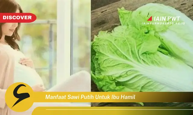 10 Manfaat Sawi Putih bagi Kehamilan Sehat