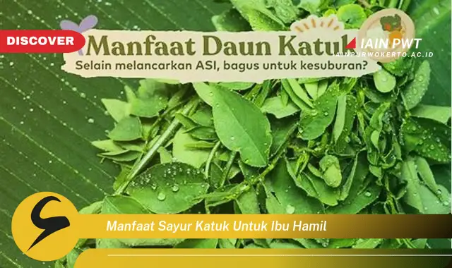 9 Manfaat Sayur Katuk Bagi Ibu Hamil