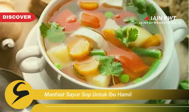 Ketahui 7 Manfaat Sayur Sop bagi Ibu Hamil