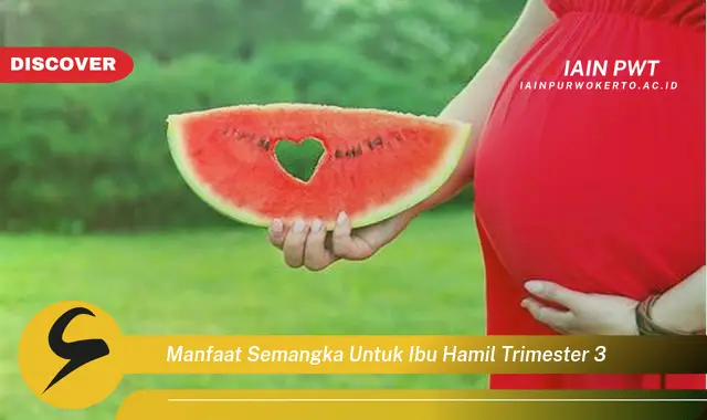 Ketahui 5 Manfaat Semangka untuk Ibu Hamil Trimester 3