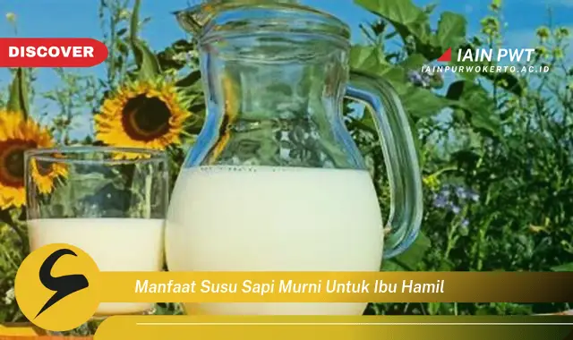 Ketahui 8 Manfaat Susu Sapi Murni bagi Ibu Hamil