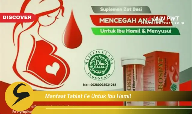 Ketahui 8 Manfaat Tablet Fe Bagi Ibu Hamil