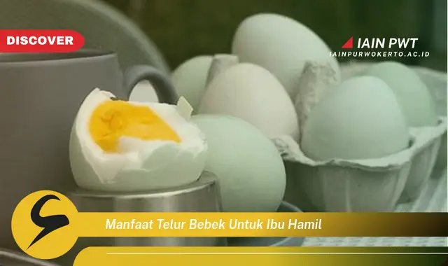 Temukan 7 Manfaat Telur Bebek Saat Hamil