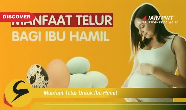 10 Manfaat Telur Bagi Ibu Hamil & Janin