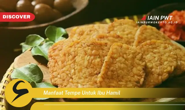 manfaat tempe untuk ibu hamil