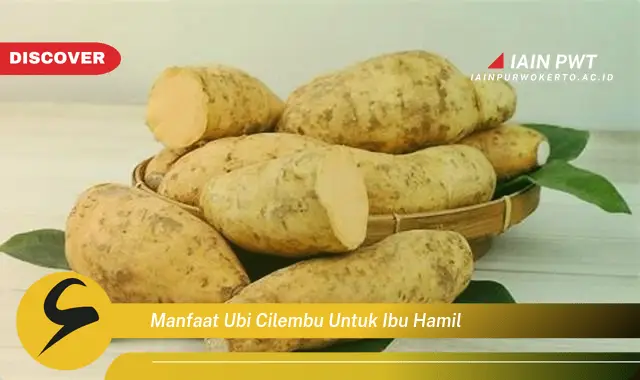 Ketahui 7 Manfaat Ubi Cilembu untuk Kehamilan Sehat