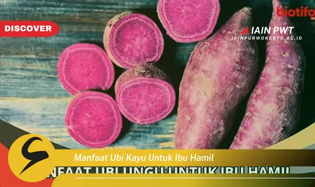 10 Manfaat Ubi Kayu untuk Kehamilan Sehat