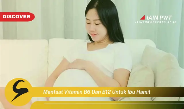 Ketahui 7 Manfaat Vitamin B6 & B12 Saat Hamil