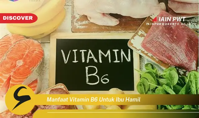 manfaat vitamin b6 untuk ibu hamil