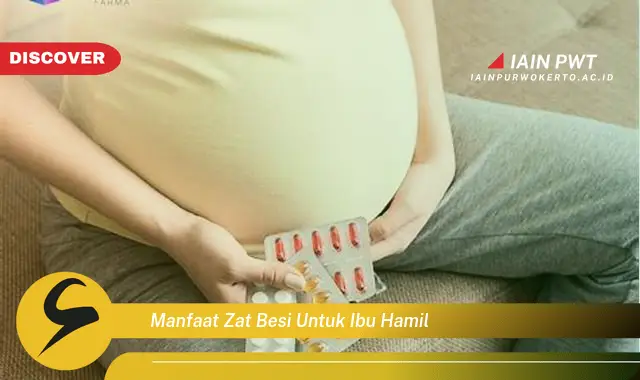 manfaat zat besi untuk ibu hamil