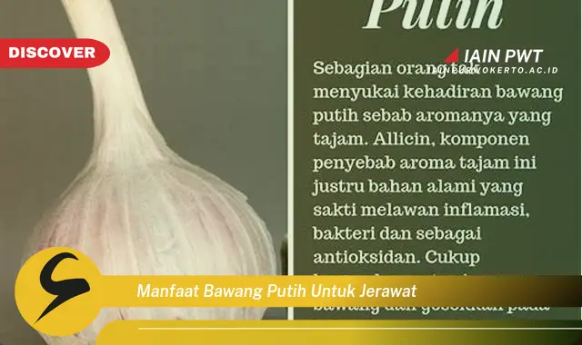 manfaat bawang putih untuk jerawat