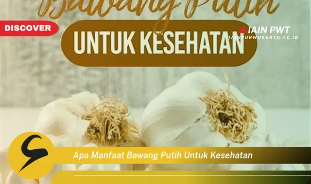 apa manfaat bawang putih untuk kesehatan