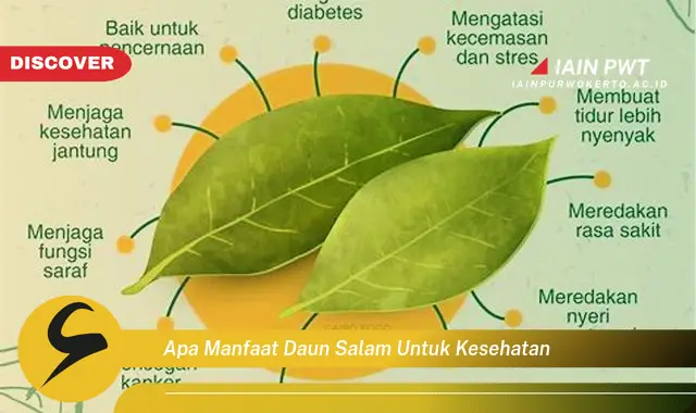 apa manfaat daun salam untuk kesehatan