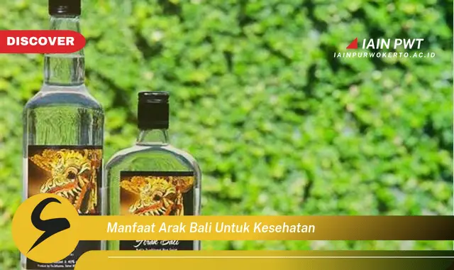 manfaat arak bali untuk kesehatan