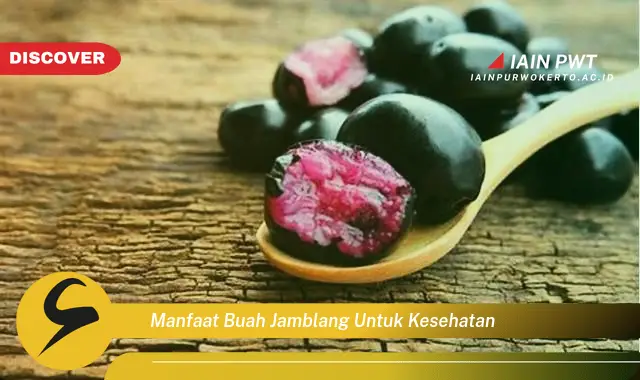 manfaat buah jamblang untuk kesehatan