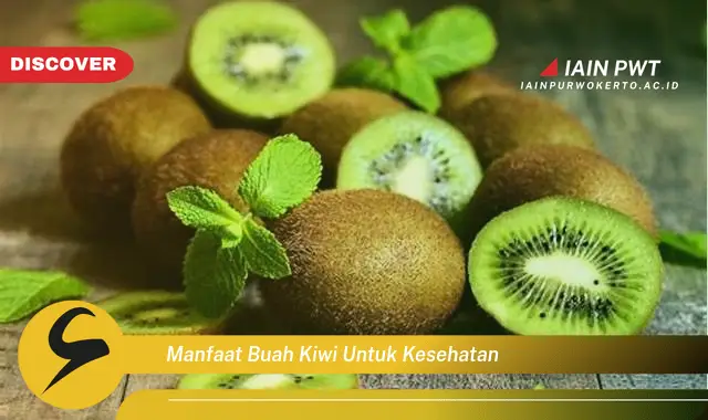 manfaat buah kiwi untuk kesehatan