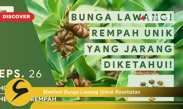 manfaat bunga lawang untuk kesehatan