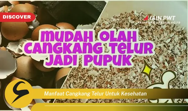 manfaat cangkang telur untuk kesehatan