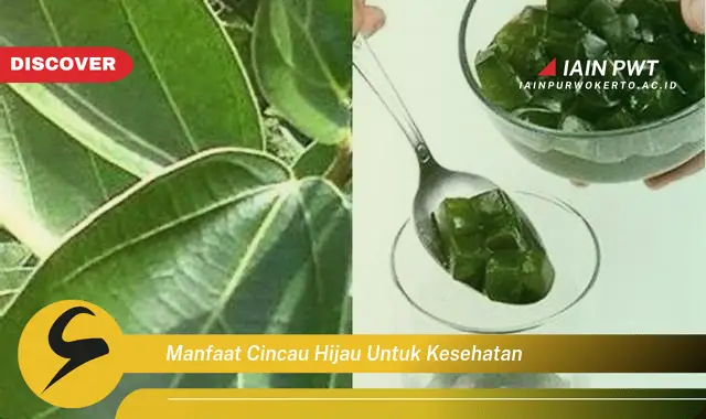 manfaat cincau hijau untuk kesehatan