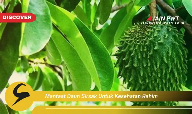 manfaat daun sirsak untuk kesehatan rahim