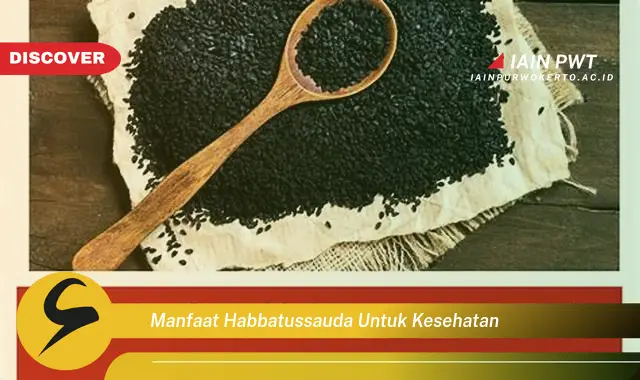 manfaat habbatussauda untuk kesehatan