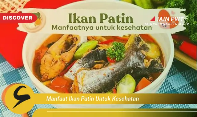 manfaat ikan patin untuk kesehatan