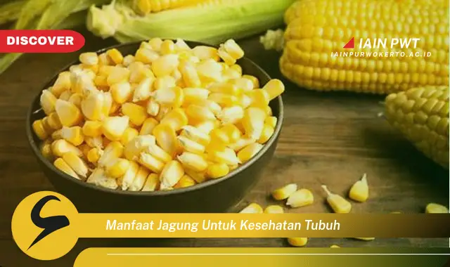 manfaat jagung untuk kesehatan tubuh