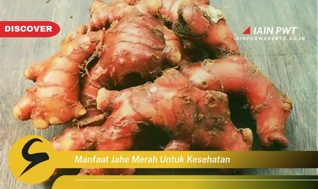 manfaat jahe merah untuk kesehatan