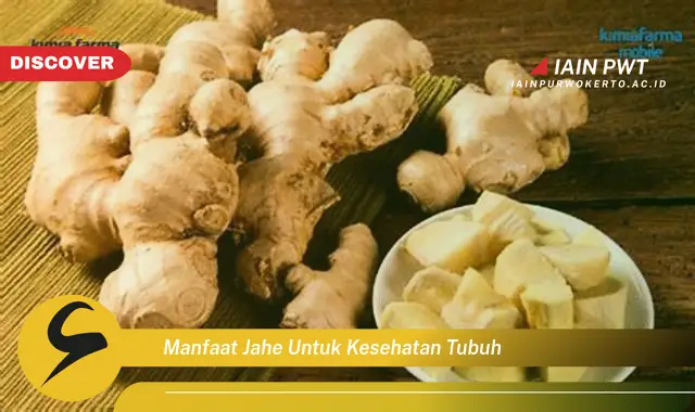 manfaat jahe untuk kesehatan tubuh