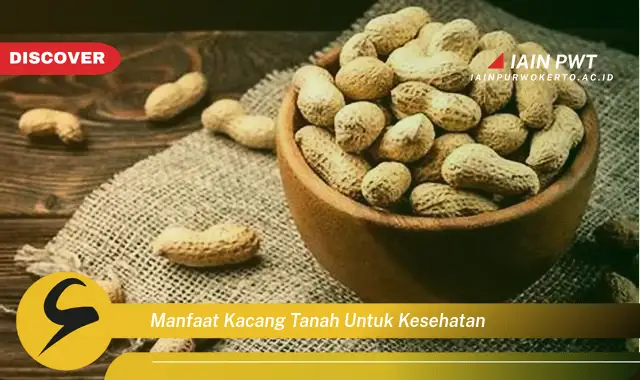 manfaat kacang tanah untuk kesehatan